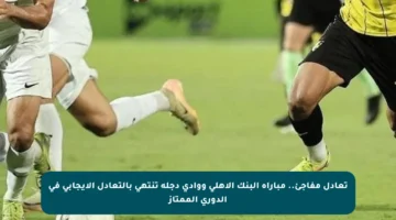 تعادل مفاجئ.. مباراة البنك الأهلي ووادي دجلة تنتهي بالتعادل الإيجابي في الدوري الممتاز